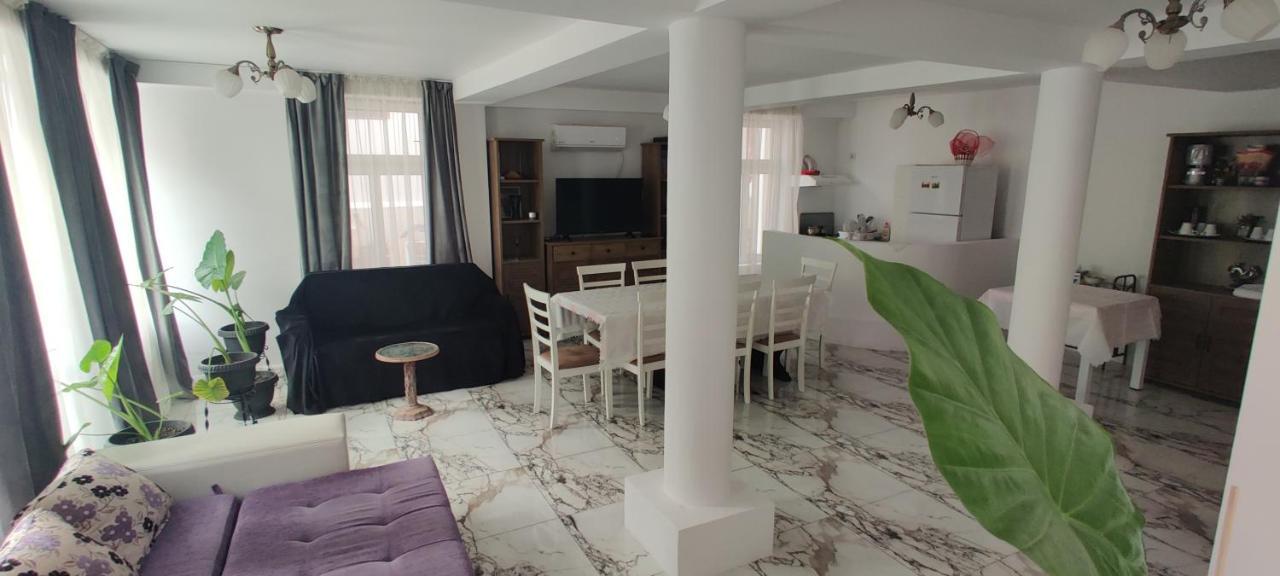 Hotel Casa Narcisa à Băile Herculane Extérieur photo