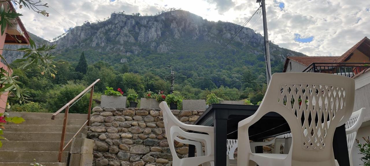 Hotel Casa Narcisa à Băile Herculane Extérieur photo